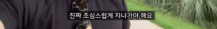 미국에서 강아지 산책 시키다 어느 한국인이 욕 먹은 이유 | 인스티즈