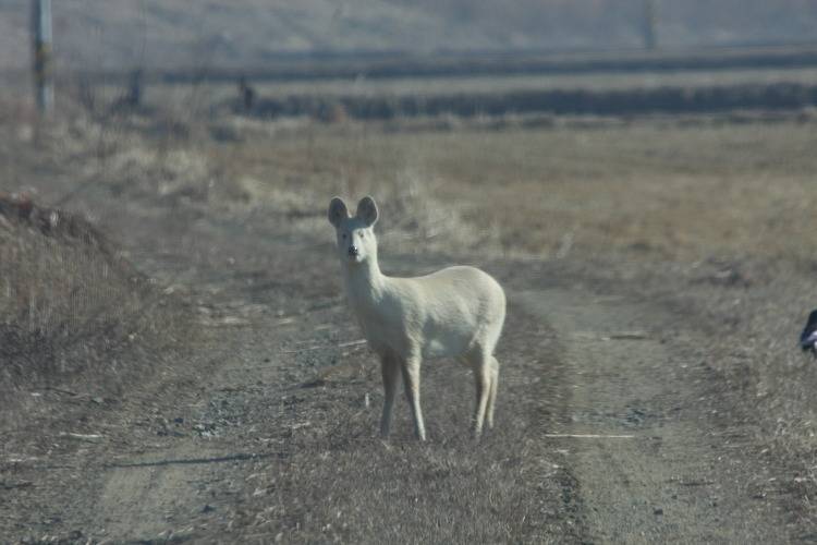 d760fd71fda3fece7b6f1f913260ff1d320334bb