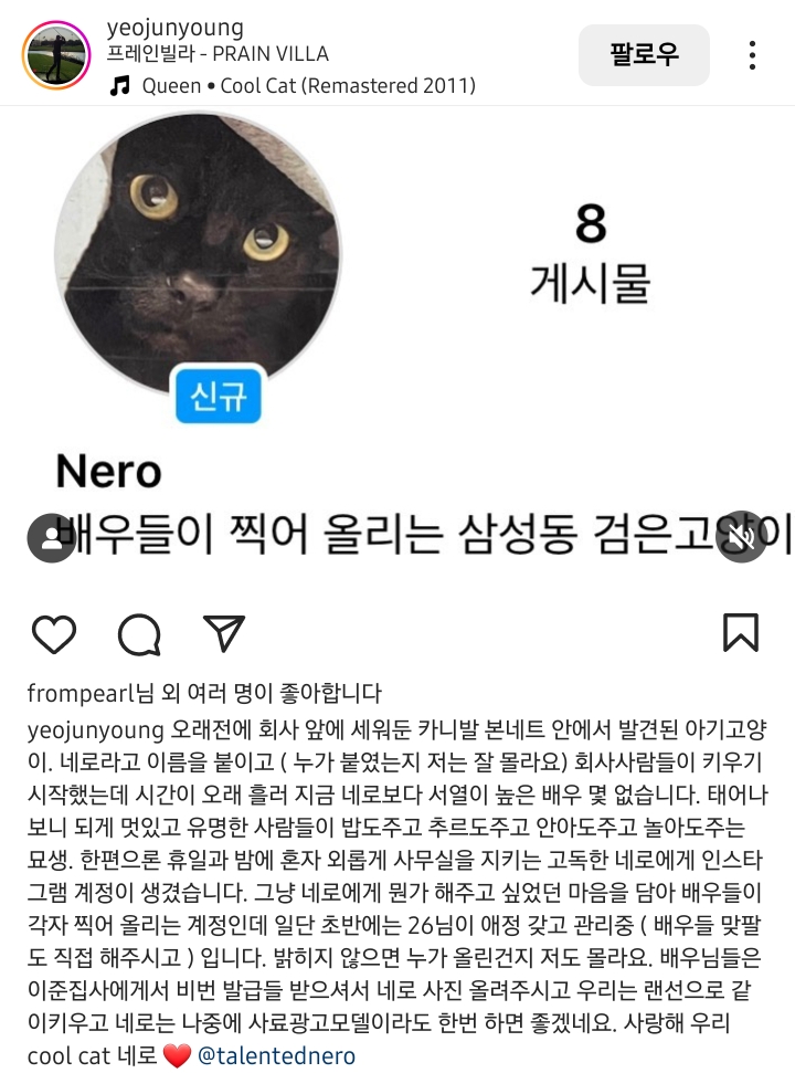 어느 배우 소속사에서 키우는 스트릿 출신 검은 고양이 네로 | 인스티즈