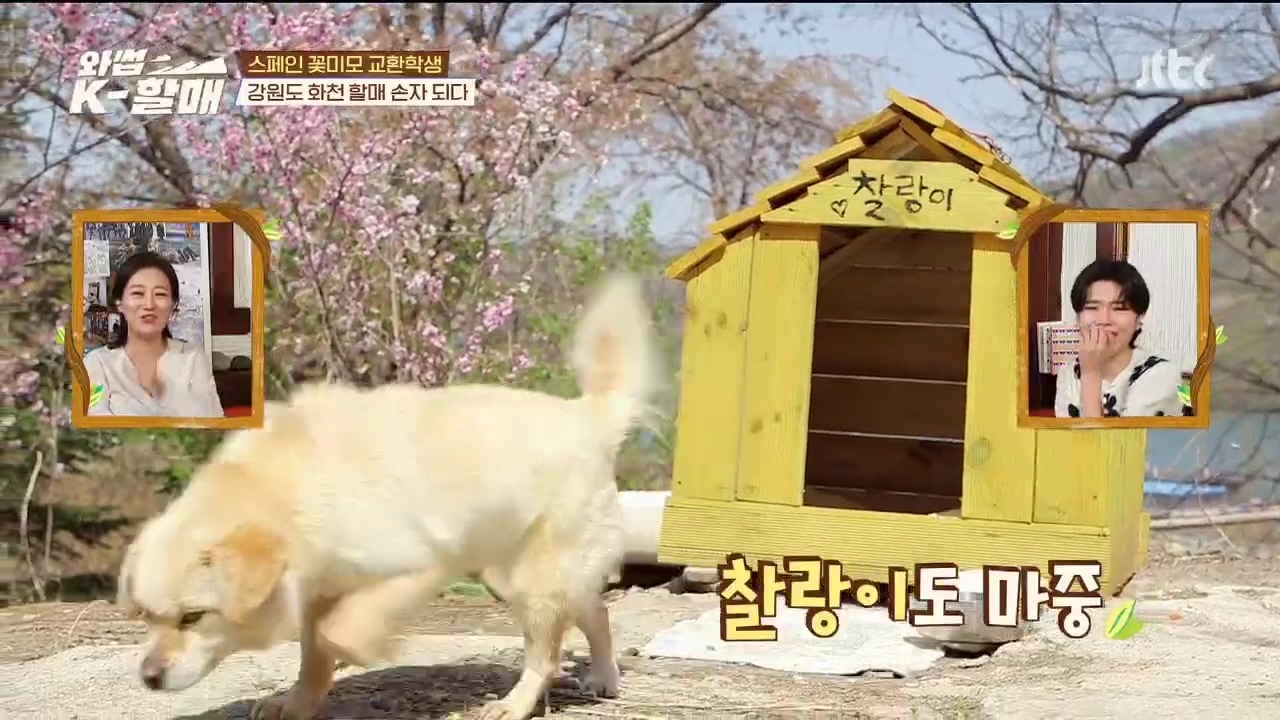 [와썹k할매] 외국인에게 제대로 플렉스하며 챙겨주는 k-할매 | 인스티즈