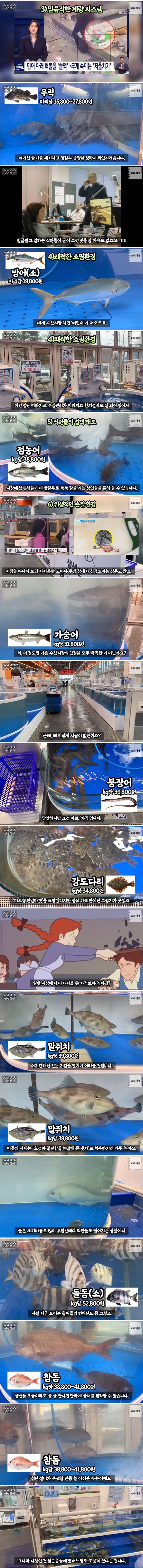 기존 수산시장의 단점을 극복한 현대식 수산시장의 현실 | 인스티즈