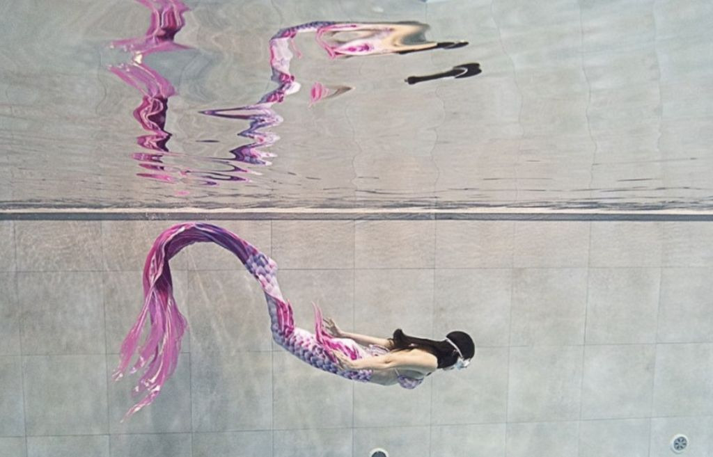 프리다이빙 배우고 넘어간다는 취미 머메이드 다이빙 | 인스티즈