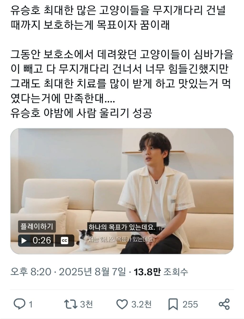 유승호 "최대한 많은 고양이들을 무지개다리 건널때까지 보호하는게 목표이자 꿈” | 인스티즈