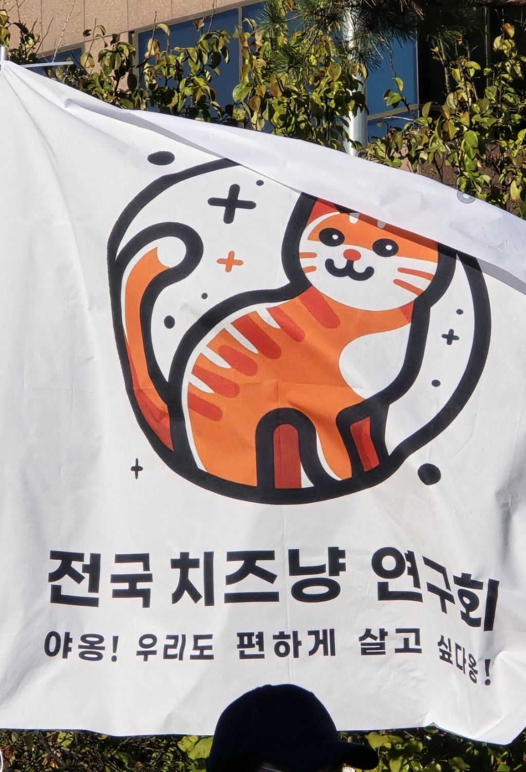 탄핵 시위= 대짱잼 깃발 대회 | 인스티즈