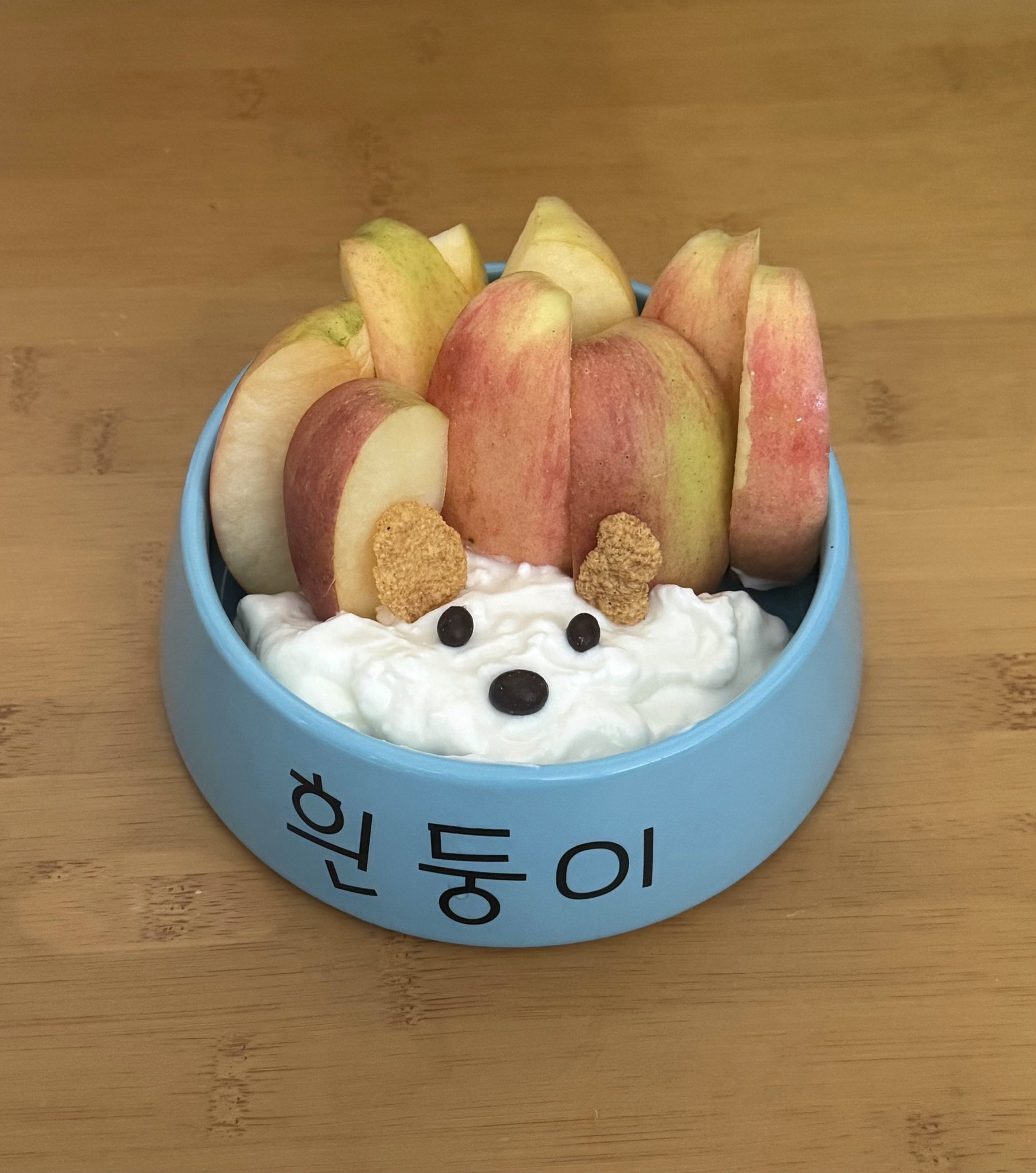 흰둥이 밥그릇에 밥먹는 사람 | 인스티즈