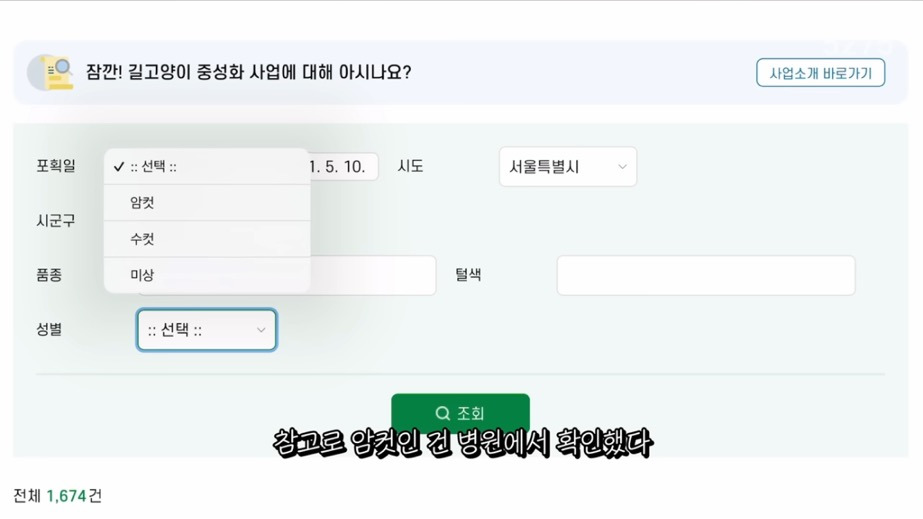 꽁꽁얼어붙은 한강위를 걷는 고양이는 몇살일까? | 인스티즈