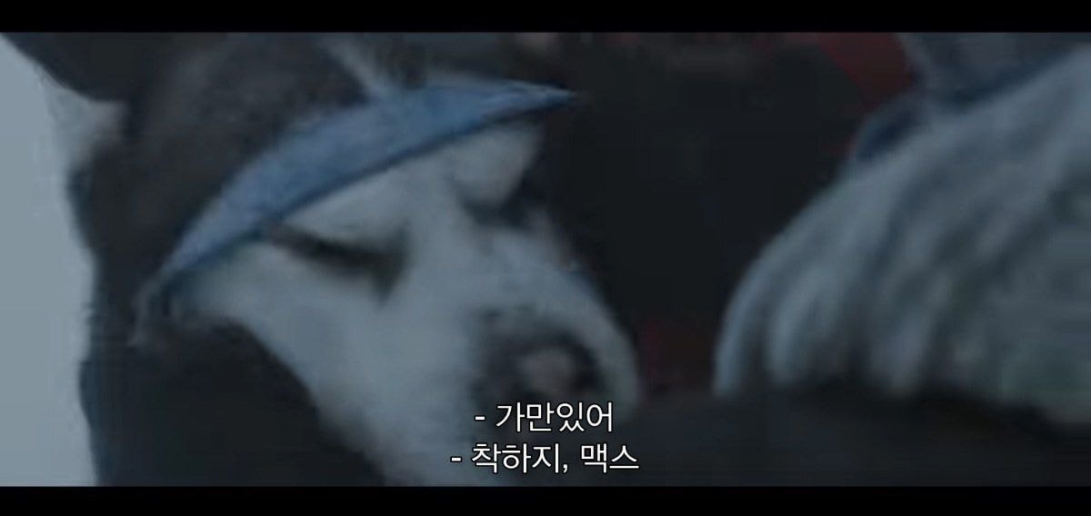 같이 남극 탐험하는 사람이 금방 돌아 온댔는데 폭풍으로 못온대 | 인스티즈