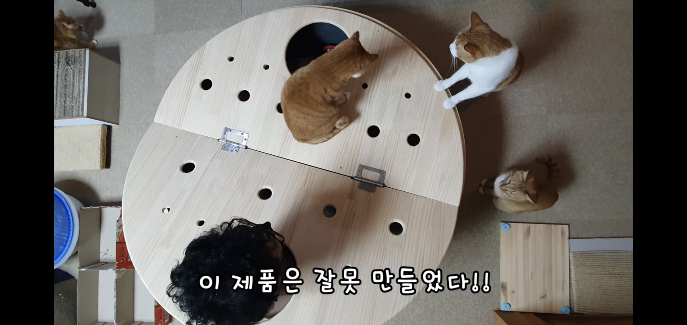 해괴한 고양이 장난감을 만들어낸 오늘자 매탈남.. jpg | 인스티즈