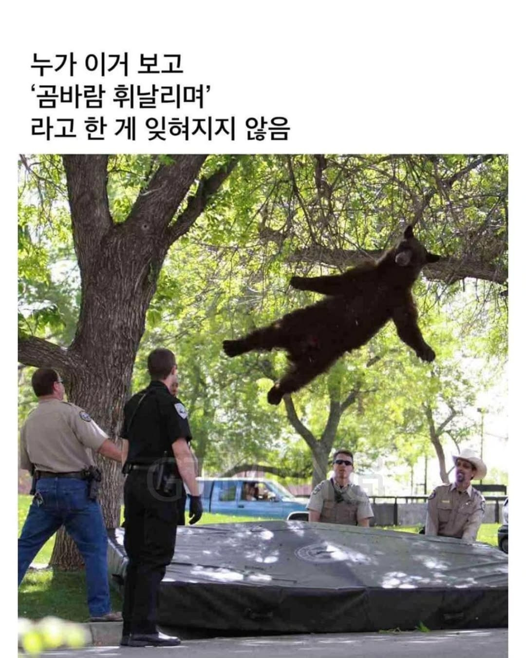 이거 누가 이렇게 말한 뒤로 안 잊혀져 | 인스티즈