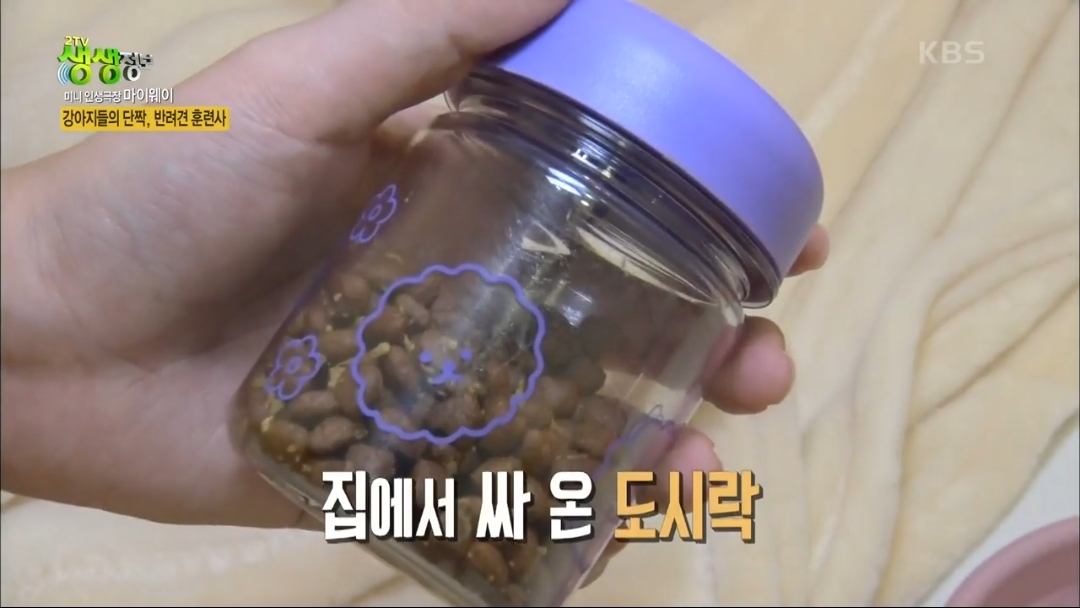 강아지 유치원.jpg | 인스티즈