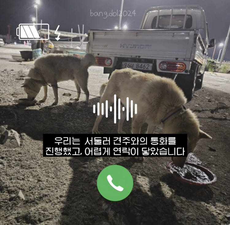 [입양홍보] 개장수에게 팔렸다 되찾아온 방치견 진순이·진돌이, 평생 가족을 찾아요! (부산/울산/전국) | 인스티즈