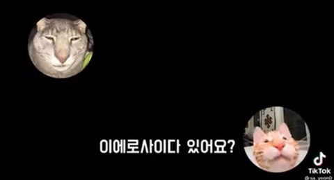 😩:미에로화이바!!!! 🥺:이에로사이다??? | 인스티즈