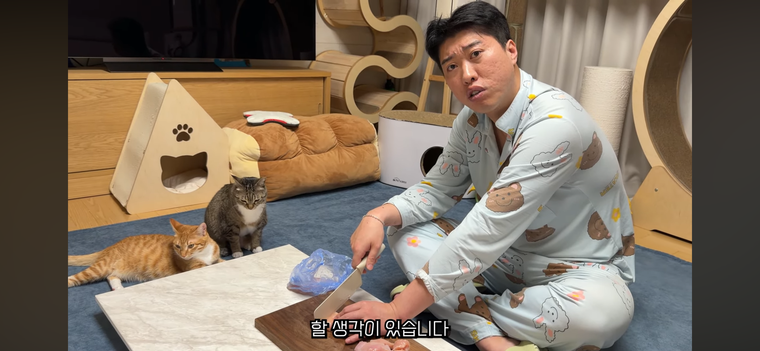 칠복이(0살 고양이)를 향한 악플 경고하는 언더월드 | 인스티즈