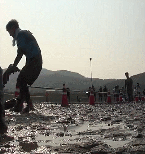 서커스 하는 태연.gif | 인스티즈