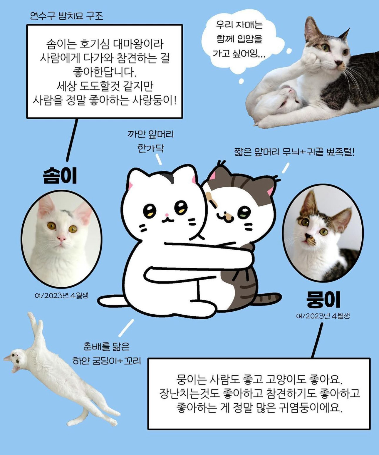 나비야 이미지