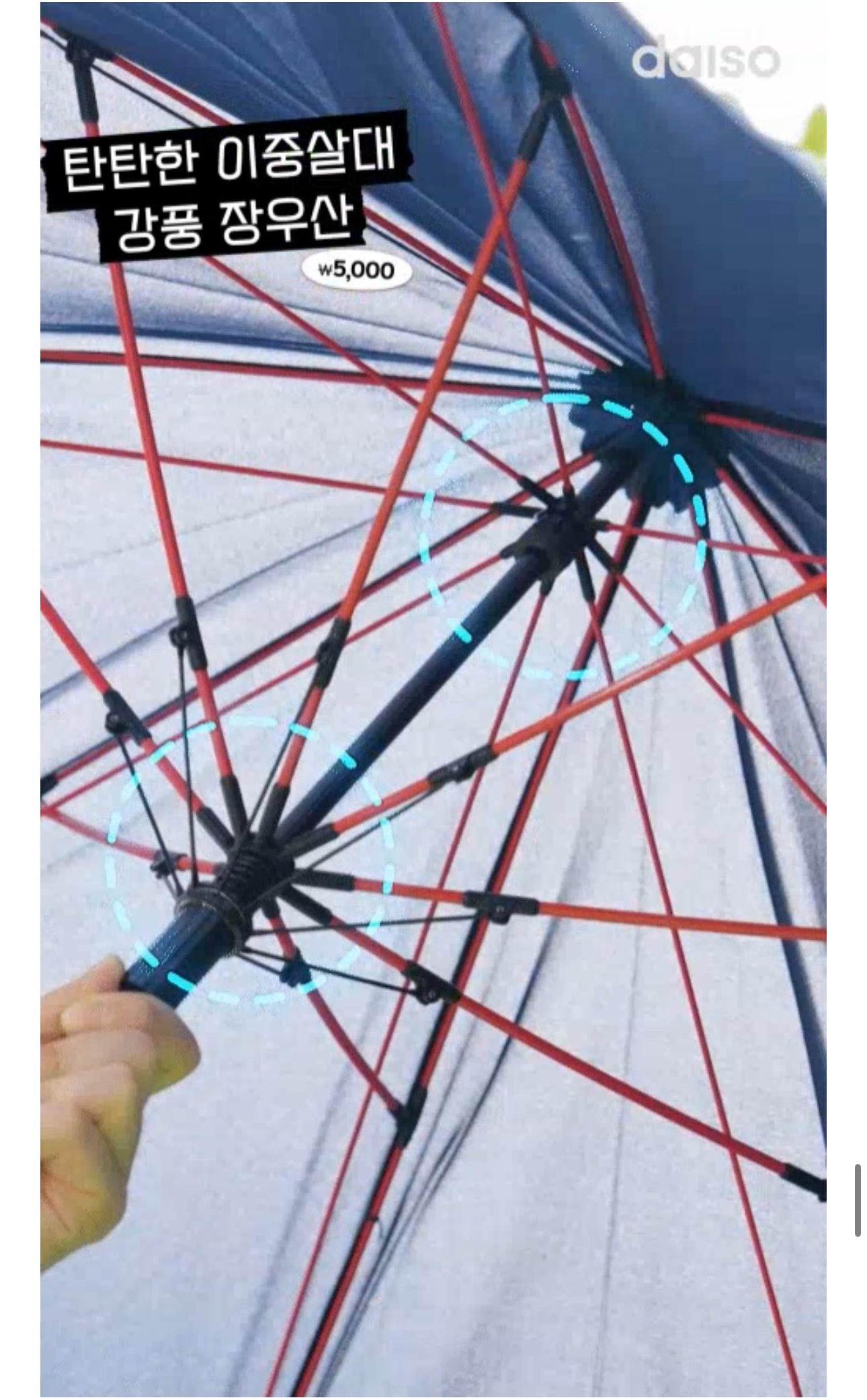 다이소 장마 대비템 출시 | 인스티즈