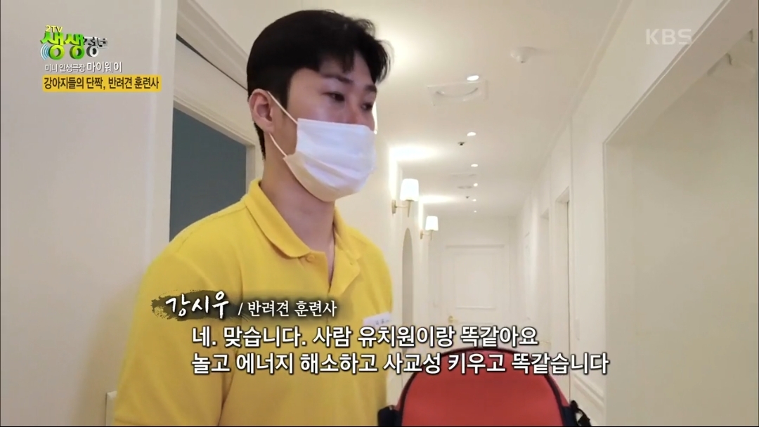 강아지 유치원.jpg | 인스티즈