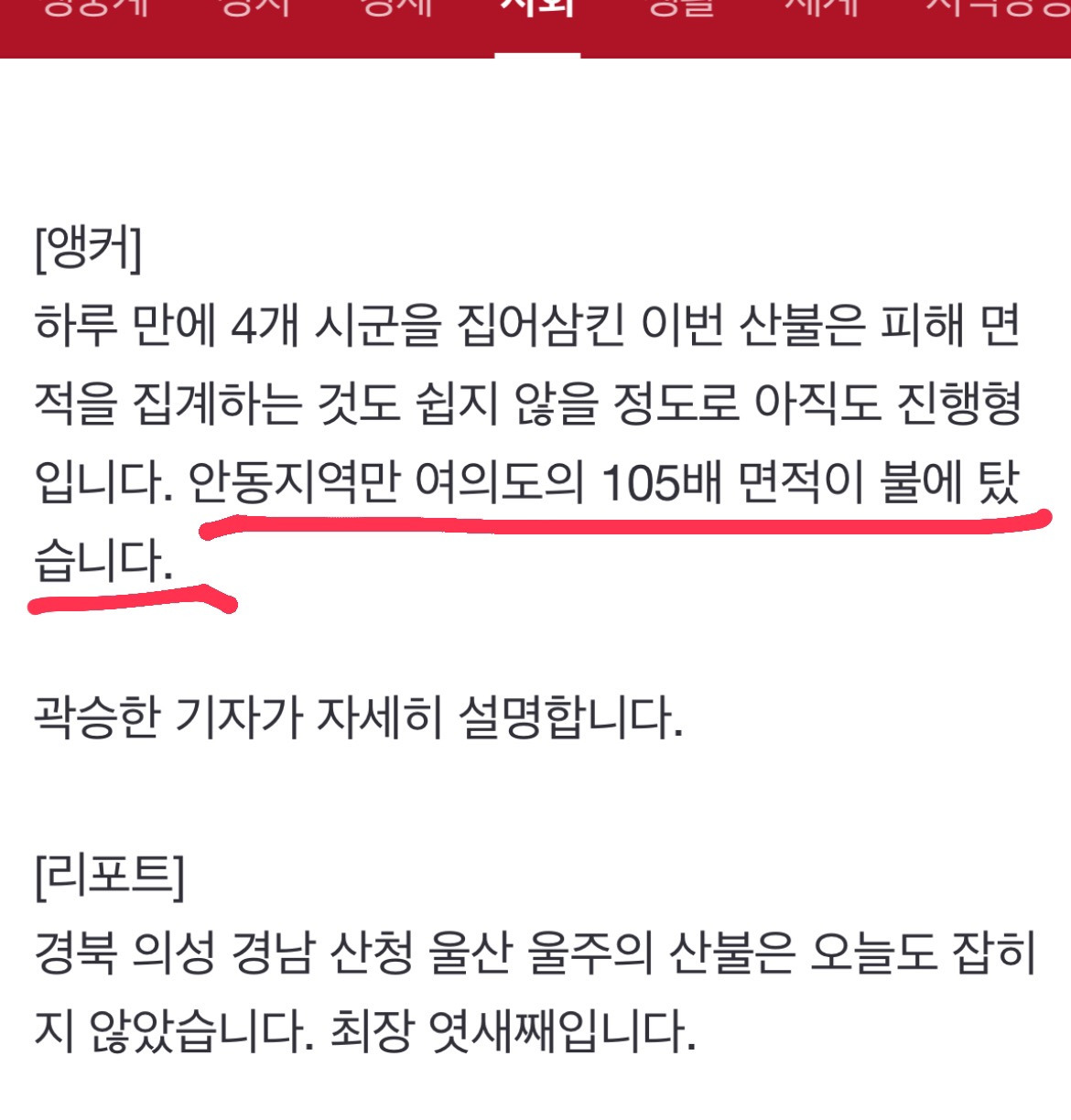 얼마전 la산불 면적보다 이번 우리나라 산불 면적이 더 큼.... | 인스티즈