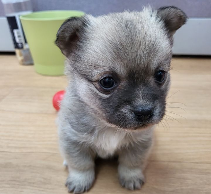 (공지라니... ++추가)새로생긴 회사 복지.. 미쳐서 도저히 일을 못하겠네.. (추가....)++추가 | 인스티즈
