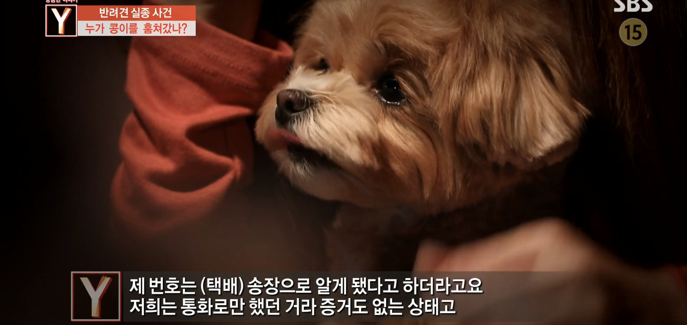 오늘 궁금한 이야기Y에 나온 검침원 강아지 유괴사건 어이없는 흐름과 결말.jpg | 인스티즈