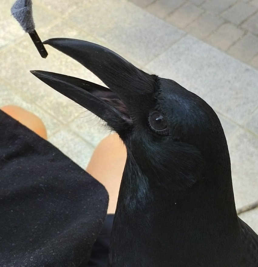 내 친구 ㅁㅌㅊ?.jpg | 인스티즈