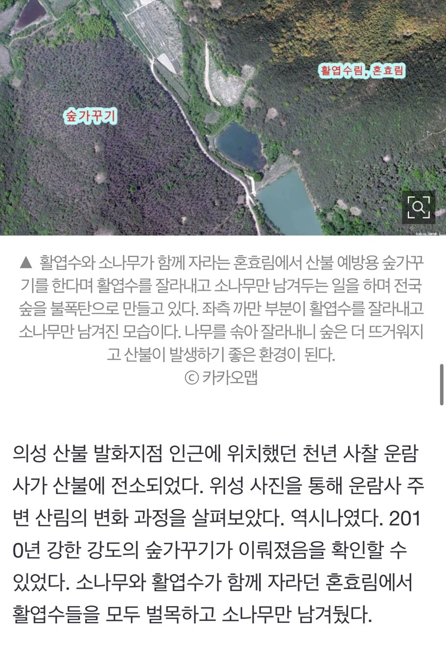 산불 발화지점 가보고 깜짝 놀랐다, 대형산불의 진짜 원인 [최병성 리포트] | 인스티즈