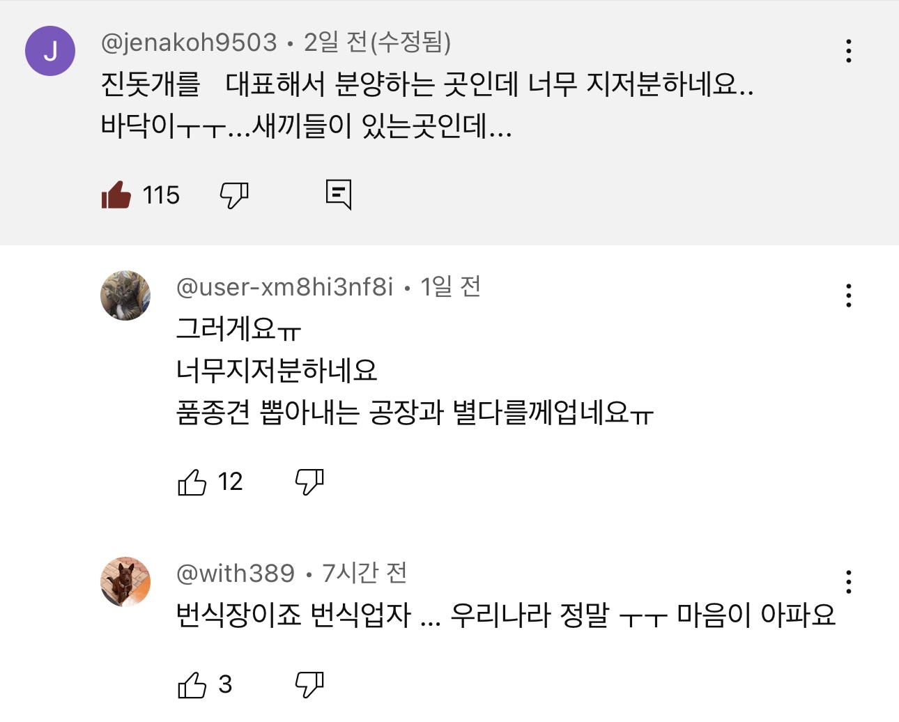 야채먹는 진돗개 삼용이네.. 또 진돗개 데려옴 | 인스티즈