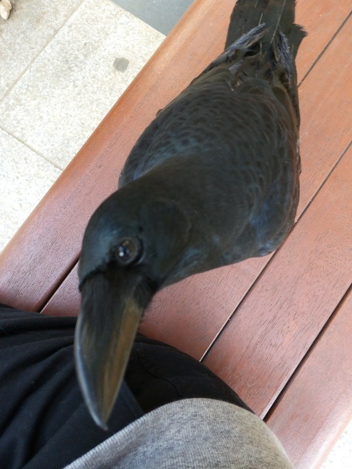 내 친구 ㅁㅌㅊ?.jpg | 인스티즈