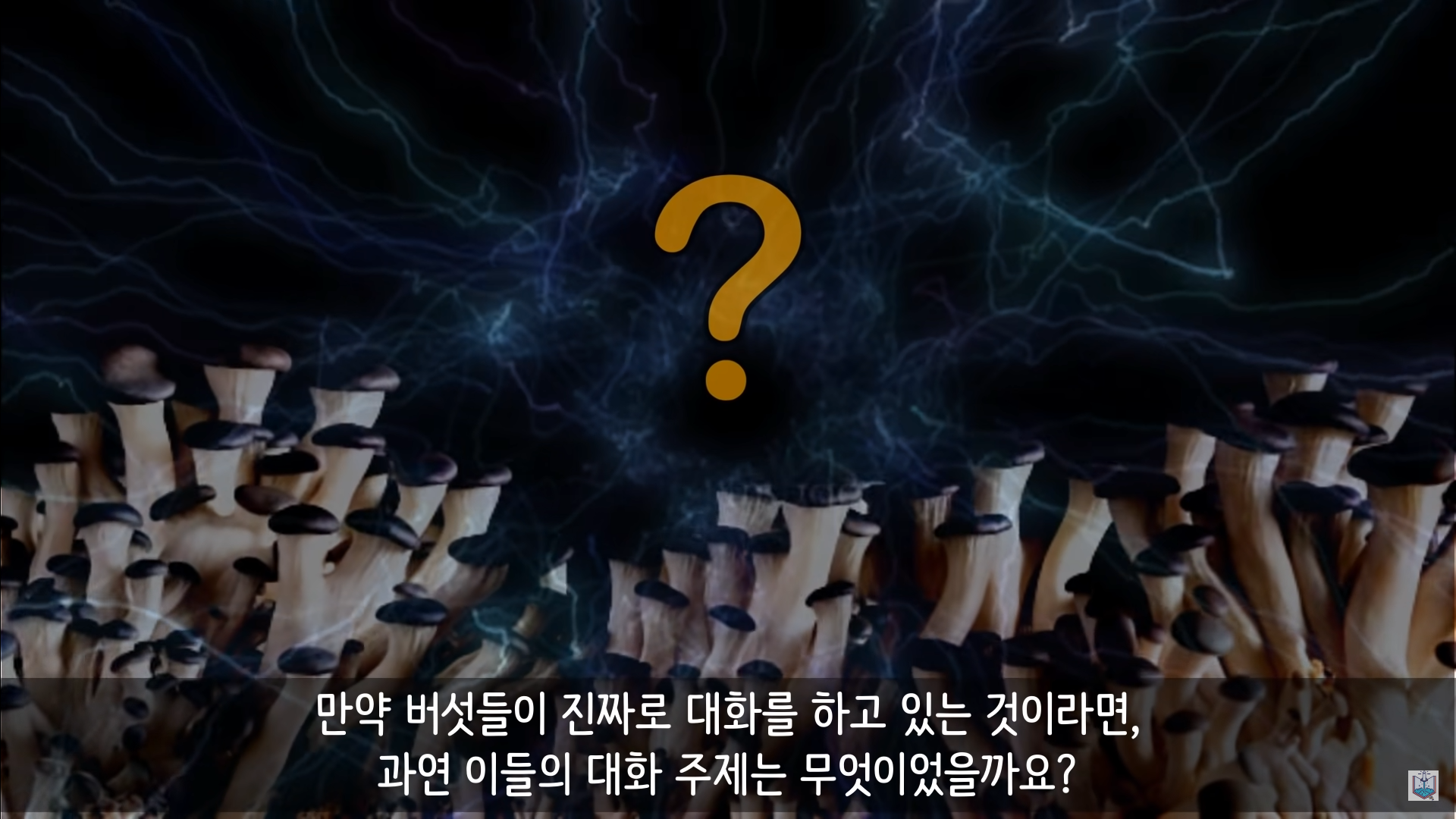 버섯이 단어와 문장을 사용해 서로 대화하고 있을지도 모른다고? | 인스티즈