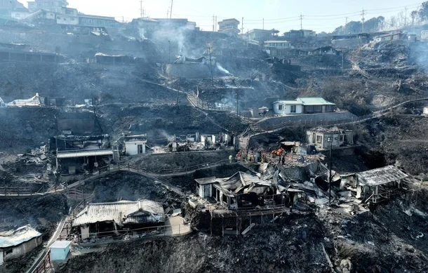 "도시 싫다고 3주전 귀향하셨는데"…영덕 100세 사망자 유족 오열 | 인스티즈