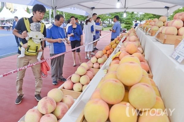 "나이 먹어서 그런가 무근본 지역 축제가 점점 흥미롭게 느껴짐" | 인스티즈