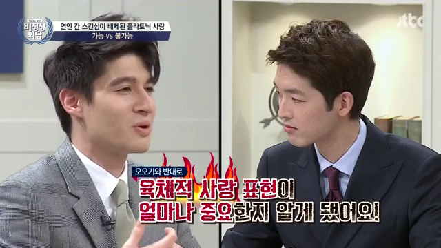 플라토닉 이미지