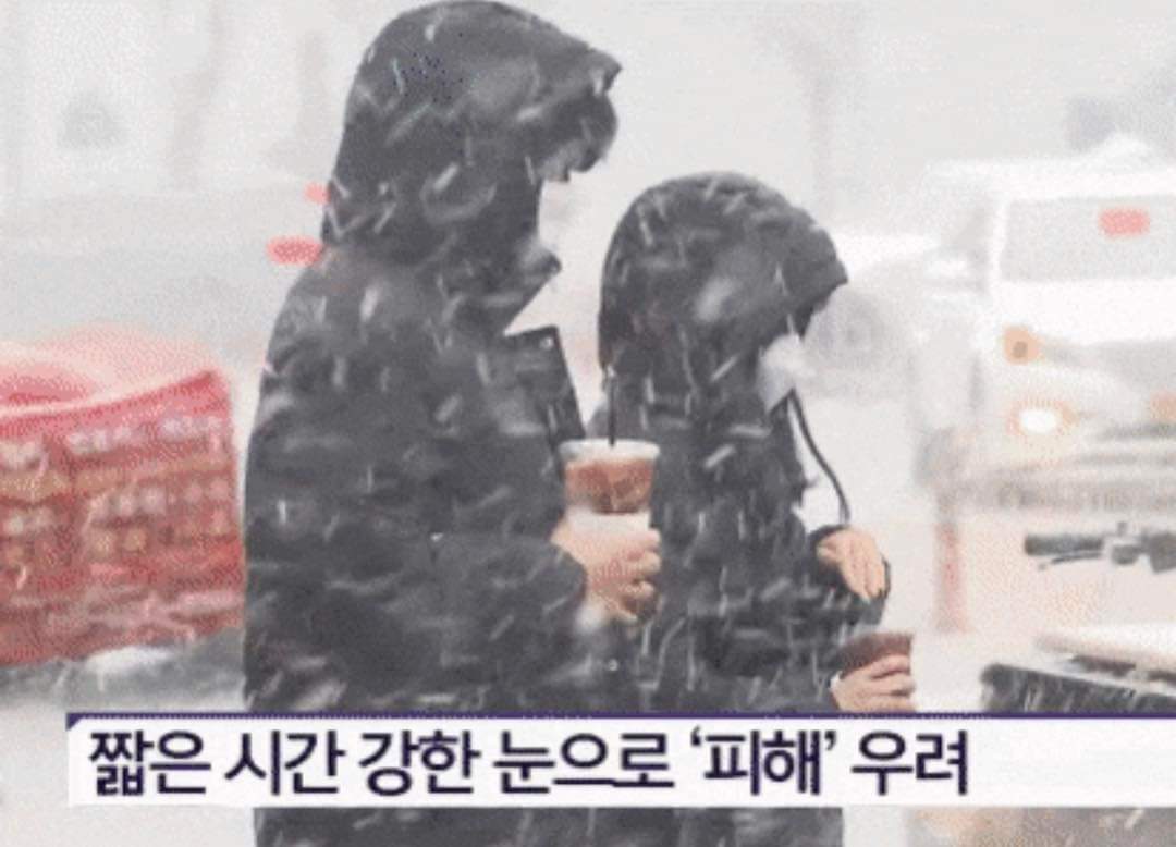 이 정도 아니면 얼죽아라고 하지 말자 | 인스티즈