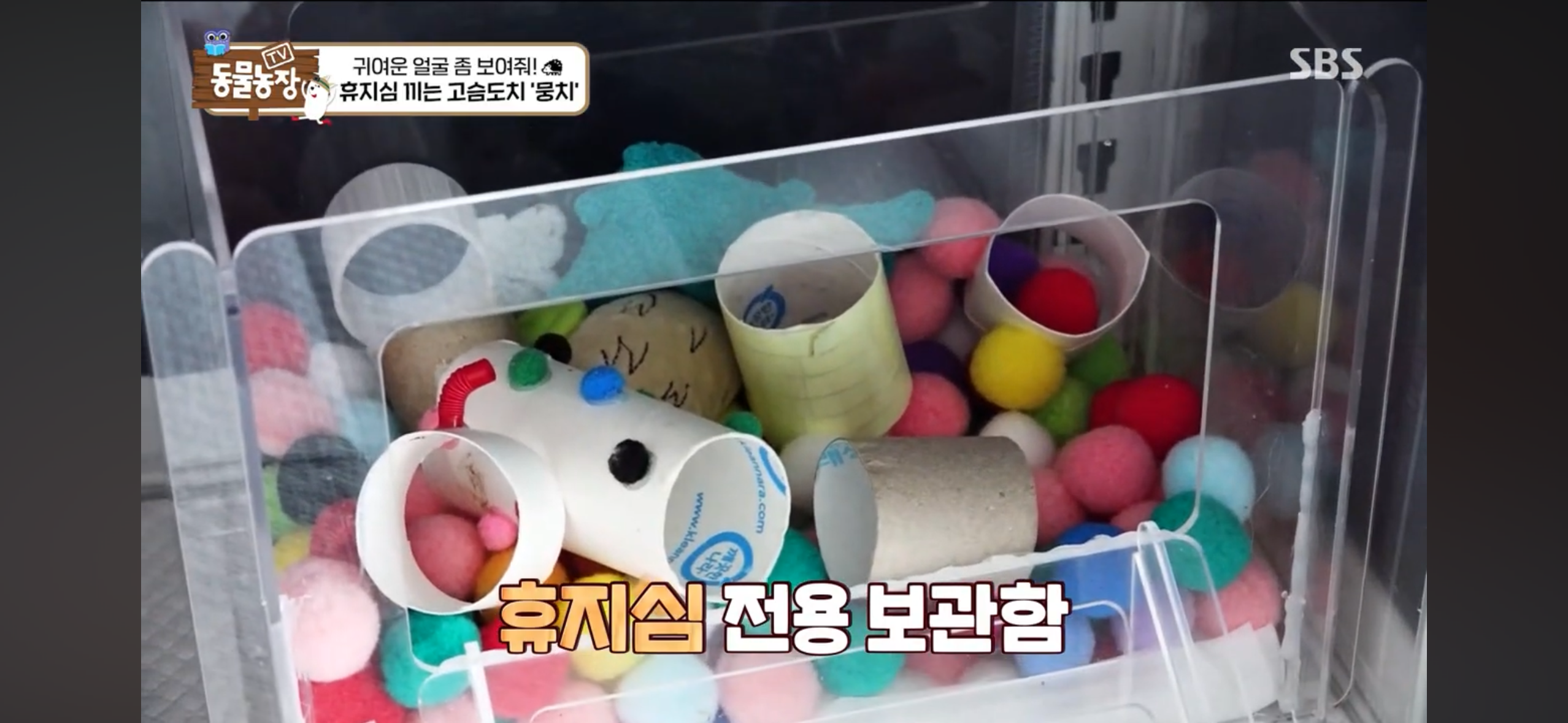 따봉고슴도치 휴지심 좋아도치 | 인스티즈