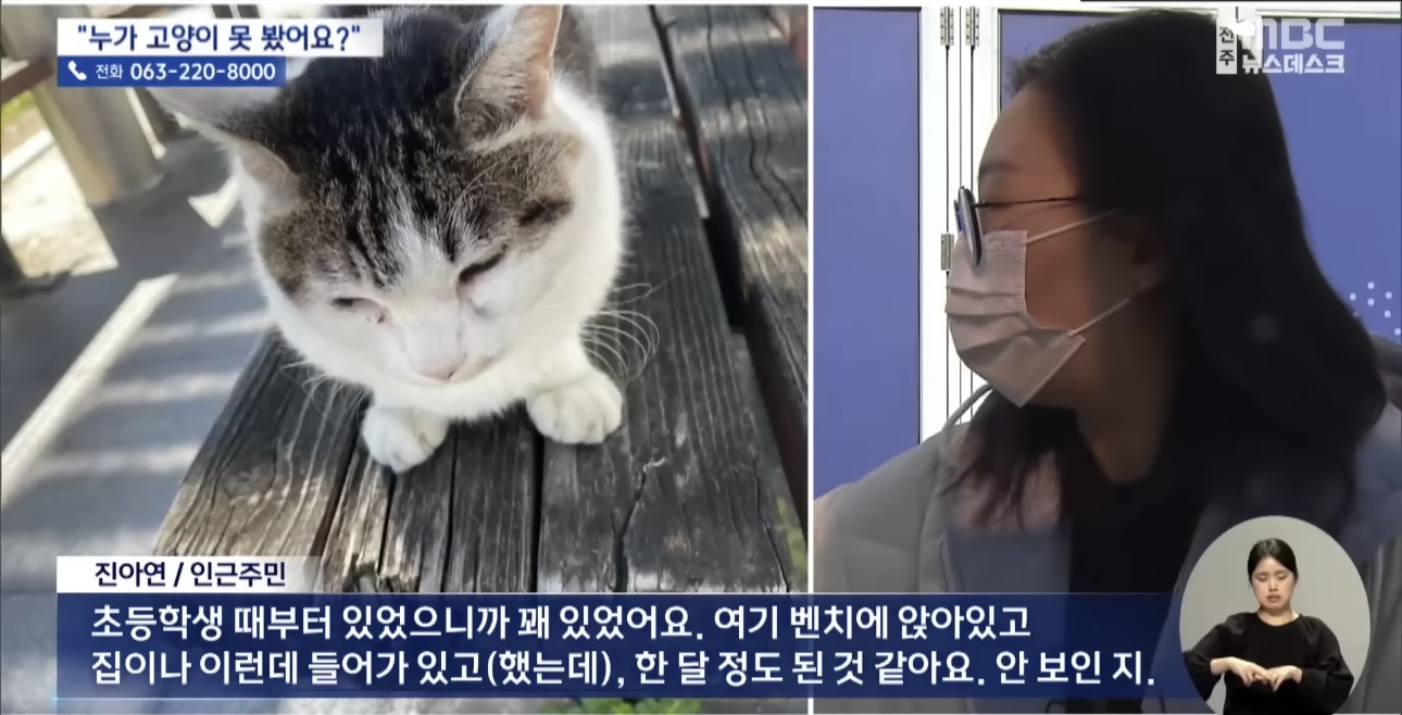 '눈먼 길고양이' 구조작전.. 훈훈한 쪽지 릴레이 | 인스티즈