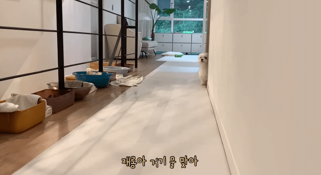 새로 이사온 주택에 물이 새요.jpg | 인스티즈