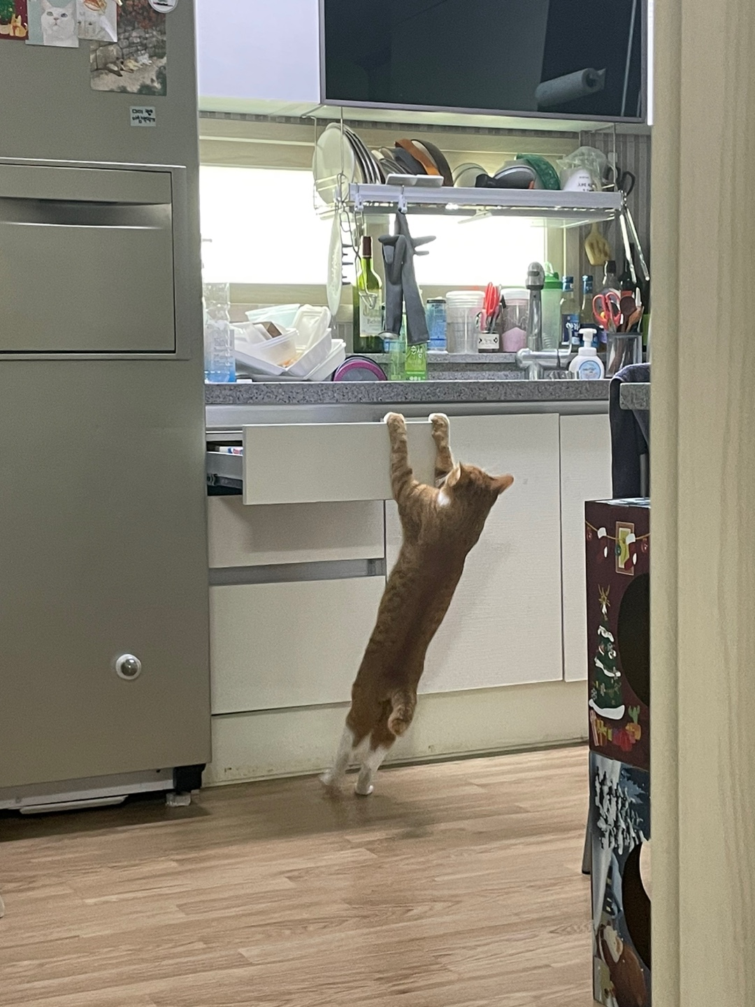 가... | 인스티즈