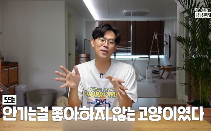 고양이 벽짚 챌린지는 진짜 지능과 관련 있을까? | 인스티즈