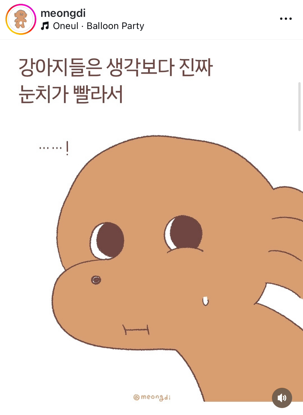 강아지들은 눈치가 빠르다 | 인스티즈