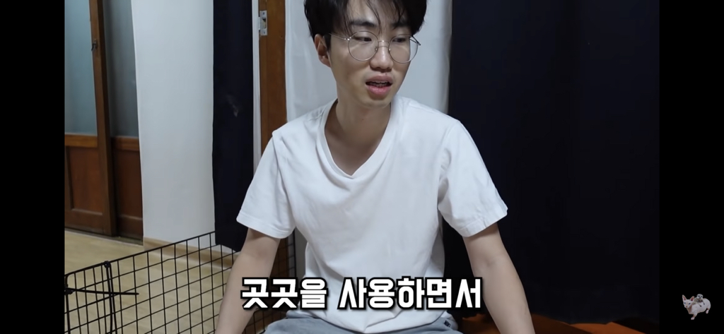 털이 없는 스핑크스는 키우기 편할까? (위생주의) | 인스티즈