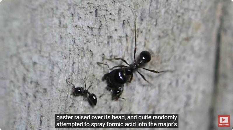 거대한 수조에 열대우림 환경을 조성해놓으면 생기는 일 - 4 | 인스티즈