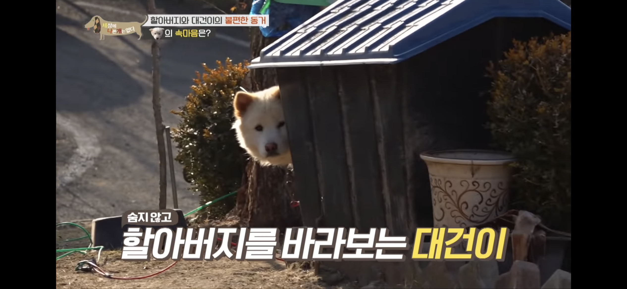 대건 이미지