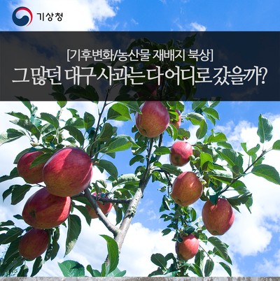 최근 사람들이 채식 시작하는 가장 큰 이유 | 인스티즈