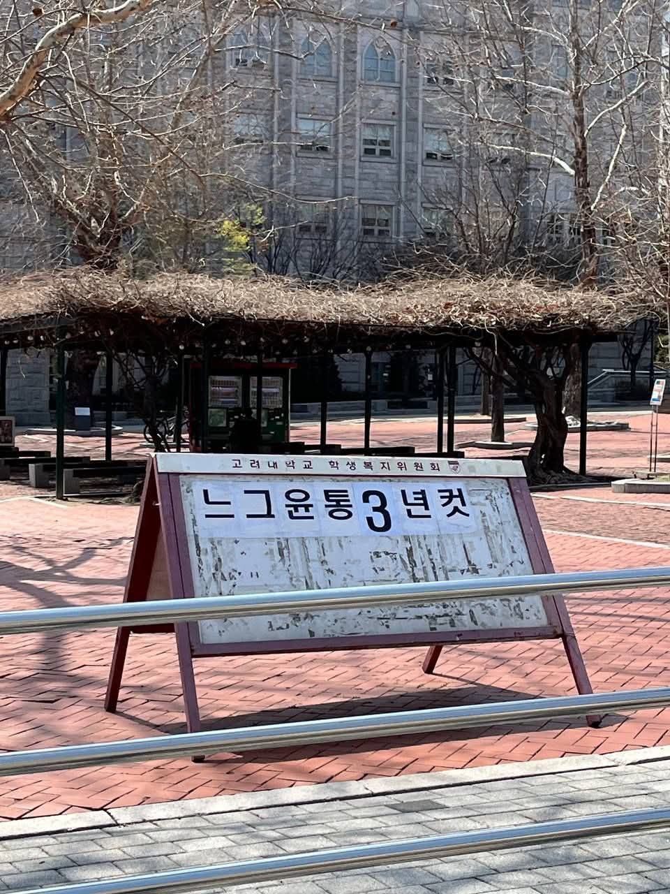 봄이 온 고려대 근황...jpg | 인스티즈