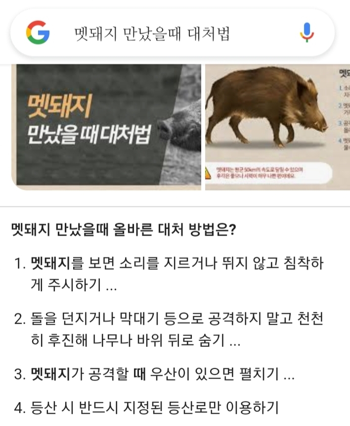 참바다소리 이미지
