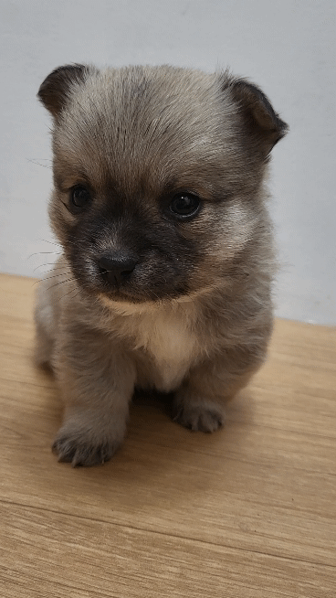 (공지라니... ++추가)새로생긴 회사 복지.. 미쳐서 도저히 일을 못하겠네.. (추가....)++추가 | 인스티즈