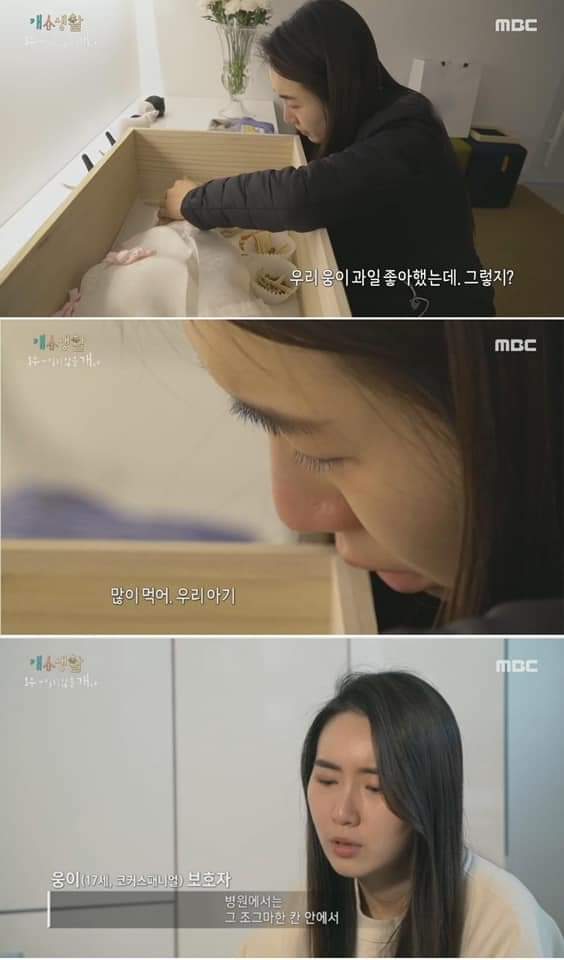무지개 다리를 건넌다는 것 | 인스티즈