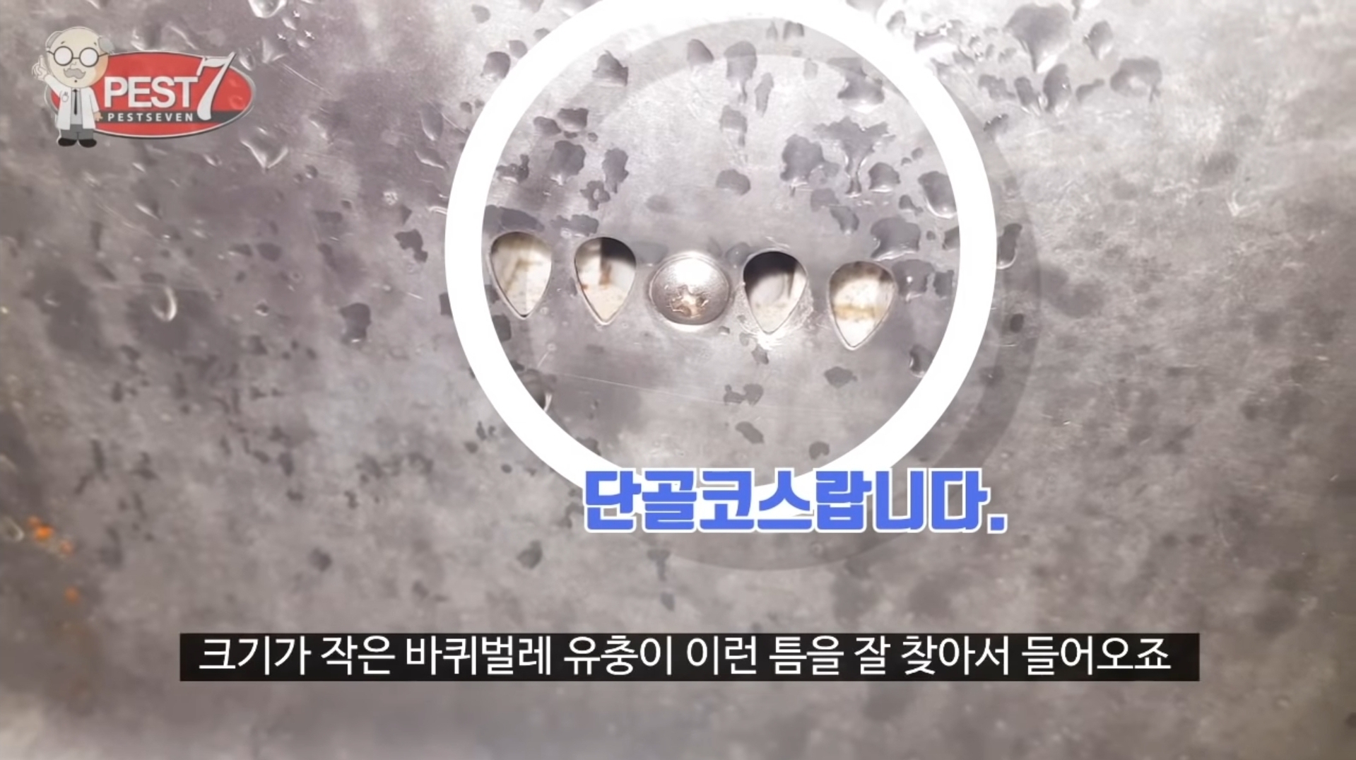 원룸 바퀴벌레 주요 유입구(벌레사진주의) | 인스티즈