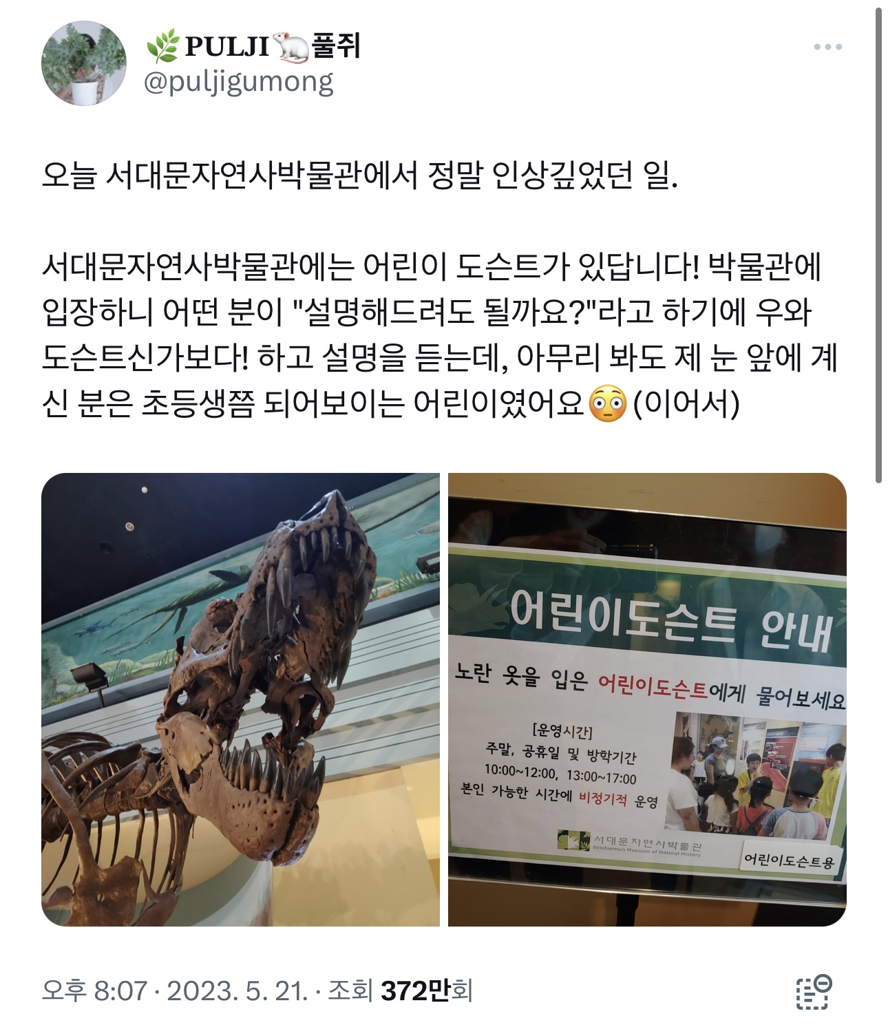 희귀 전문 인력을 도슨트로 고용한 박물관 | 인스티즈