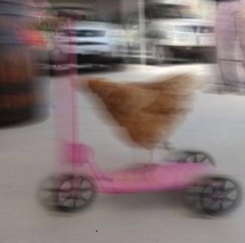 인스타 부계에 힘들때마다 올린짤 모음Zip | 인스티즈